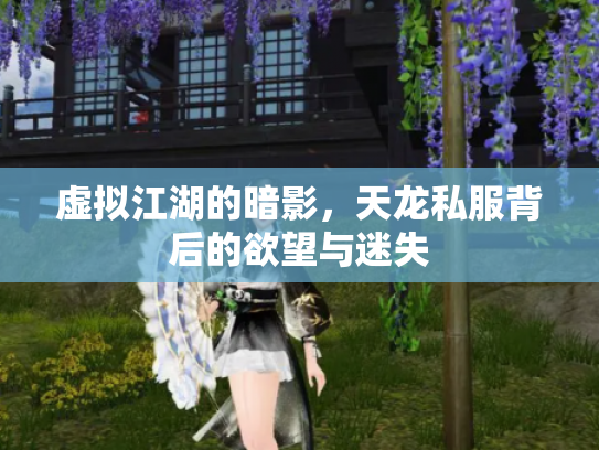 虚拟江湖的暗影，天龙私服背后的欲望与迷失