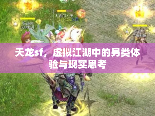 天龙sf，虚拟江湖中的另类体验与现实思考