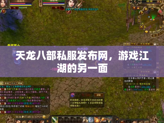 天龙八部私服发布网，游戏江湖的另一面