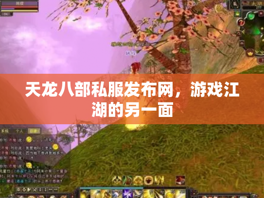 天龙八部私服发布网，游戏江湖的另一面