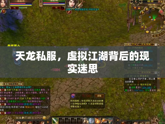 天龙私服，虚拟江湖背后的现实迷思