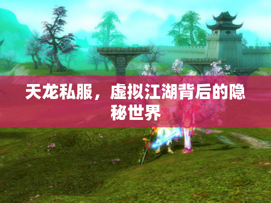 天龙私服，虚拟江湖背后的隐秘世界
