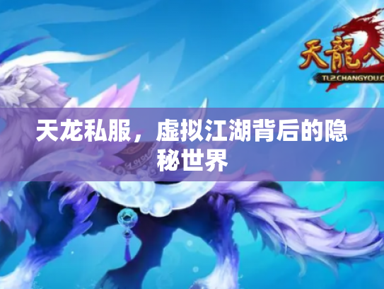 天龙私服，虚拟江湖背后的隐秘世界