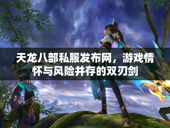 天龙八部私服发布网，游戏情怀与风险并存的双刃剑