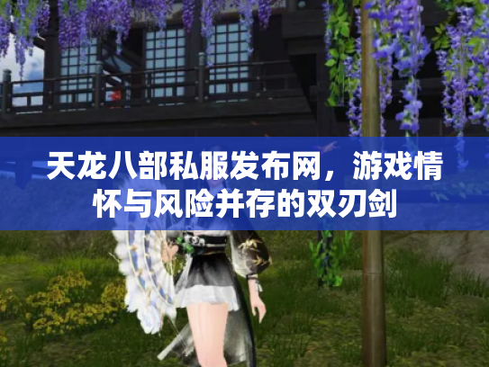 天龙八部私服发布网，游戏情怀与风险并存的双刃剑