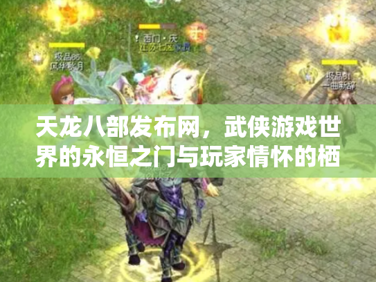 天龙八部发布网，武侠游戏世界的永恒之门与玩家情怀的栖息地