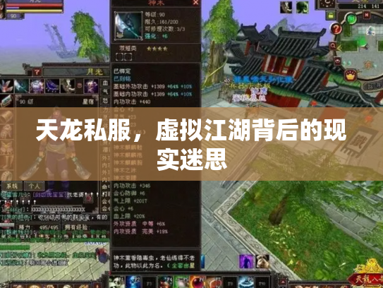 天龙私服，虚拟江湖背后的现实迷思