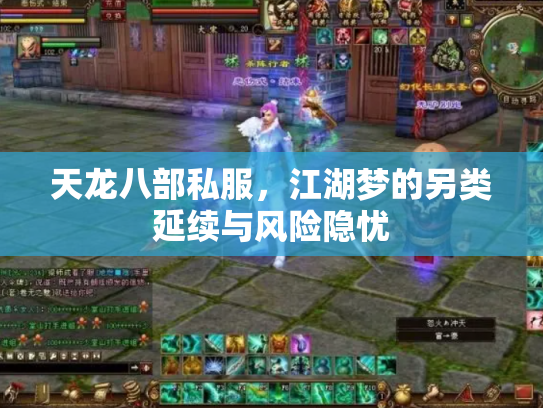 天龙八部私服，江湖梦的另类延续与风险隐忧