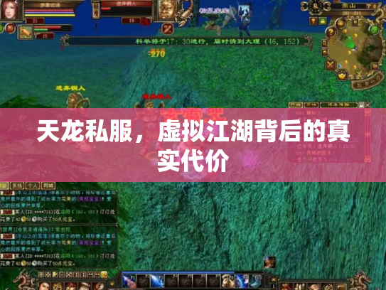 天龙私服，虚拟江湖背后的真实代价