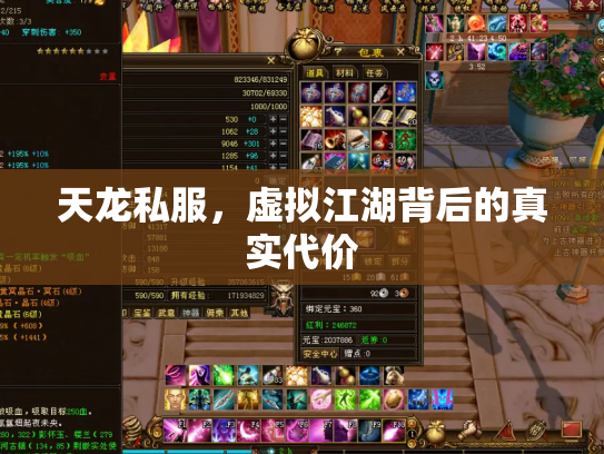 天龙私服，虚拟江湖背后的真实代价