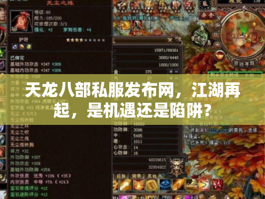 天龙八部私服发布网，江湖再起，是机遇还是陷阱？