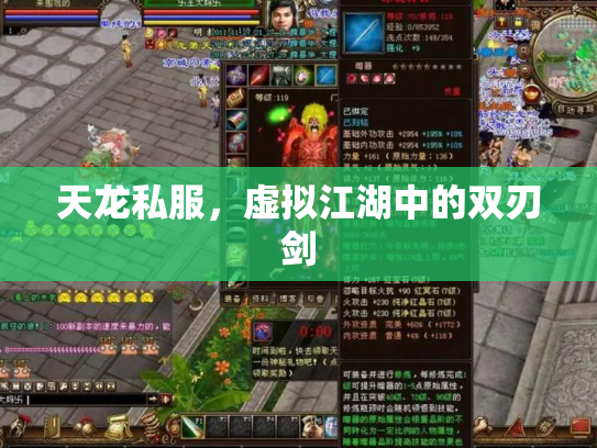 天龙私服，虚拟江湖中的双刃剑