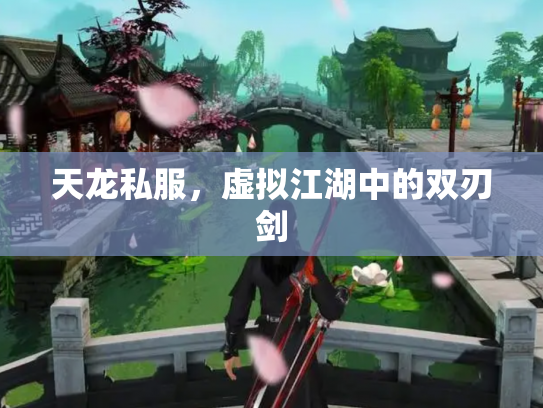 天龙私服，虚拟江湖中的双刃剑