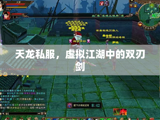 天龙私服，虚拟江湖中的双刃剑