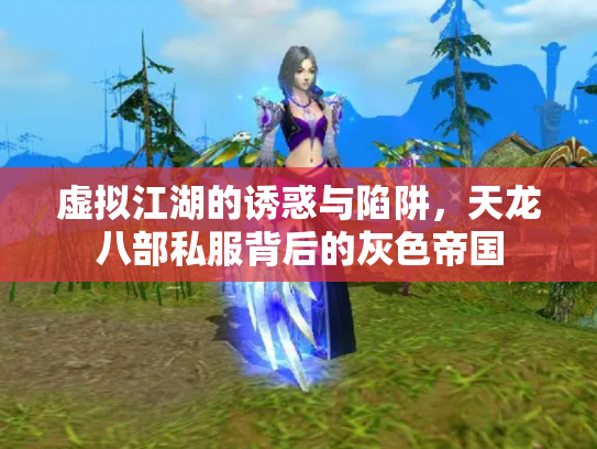 虚拟江湖的诱惑与陷阱，天龙八部私服背后的灰色帝国