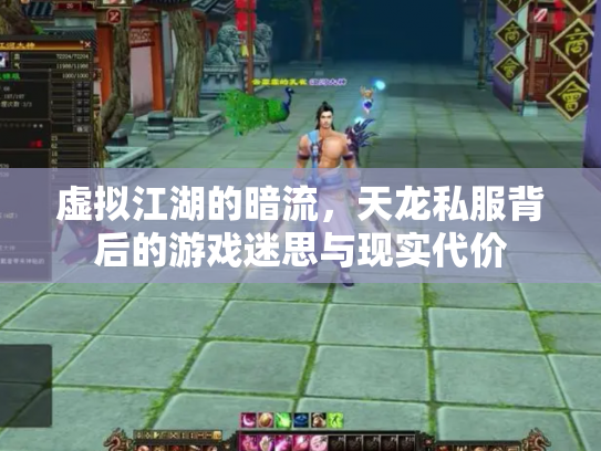 虚拟江湖的暗流，天龙私服背后的游戏迷思与现实代价