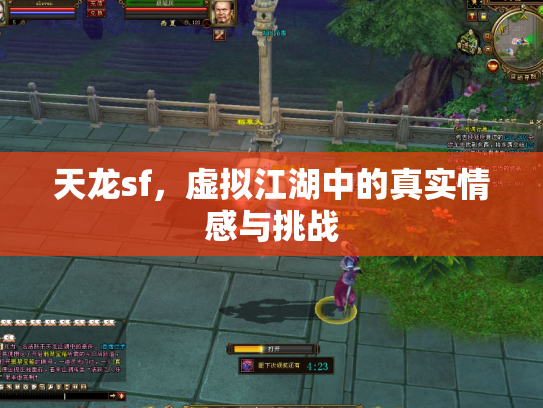 天龙sf，虚拟江湖中的真实情感与挑战