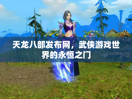 天龙八部发布网，武侠游戏世界的永恒之门
