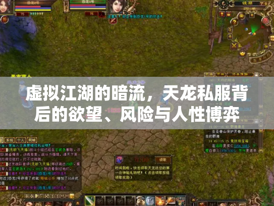 虚拟江湖的暗流，天龙私服背后的欲望、风险与人性博弈