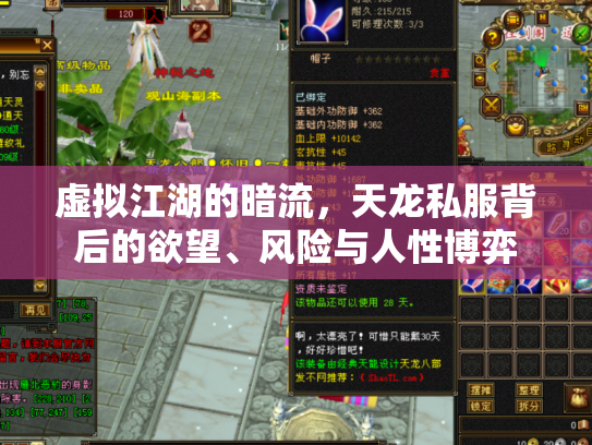 虚拟江湖的暗流，天龙私服背后的欲望、风险与人性博弈