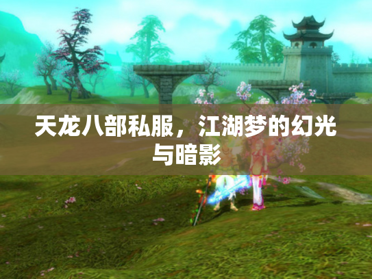 天龙八部私服，江湖梦的幻光与暗影
