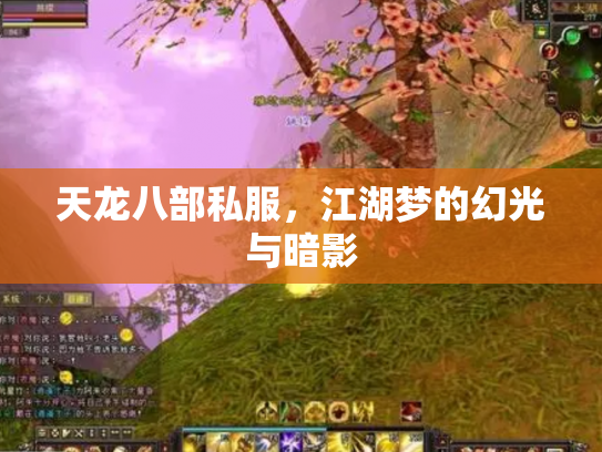 天龙八部私服，江湖梦的幻光与暗影