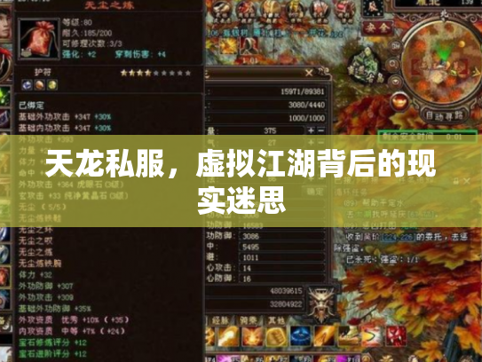 天龙私服，虚拟江湖背后的现实迷思