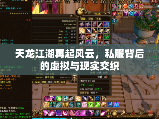 天龙江湖再起风云，私服背后的虚拟与现实交织