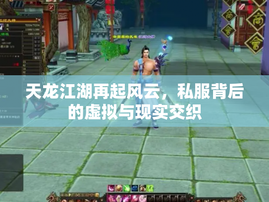 天龙江湖再起风云，私服背后的虚拟与现实交织