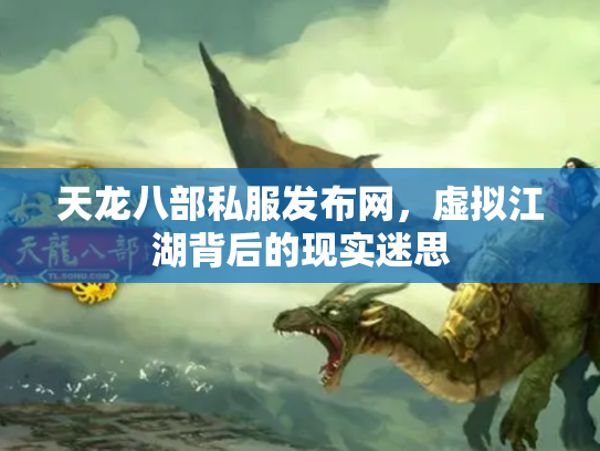 天龙八部私服发布网，虚拟江湖背后的现实迷思