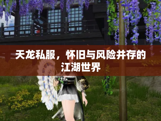 天龙私服，怀旧与风险并存的江湖世界
