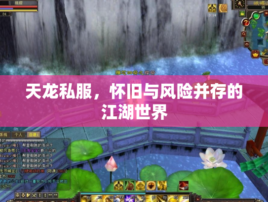 天龙私服，怀旧与风险并存的江湖世界
