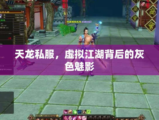 天龙私服，虚拟江湖背后的灰色魅影