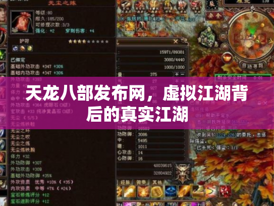 天龙八部发布网，虚拟江湖背后的真实江湖