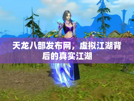 天龙八部发布网，虚拟江湖背后的真实江湖