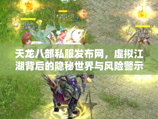 天龙八部私服发布网，虚拟江湖背后的隐秘世界与风险警示