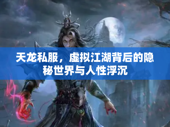 天龙私服，虚拟江湖背后的隐秘世界与人性浮沉
