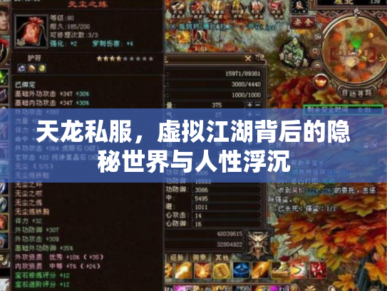 天龙私服，虚拟江湖背后的隐秘世界与人性浮沉