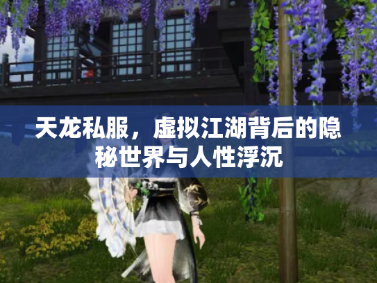天龙私服，虚拟江湖背后的隐秘世界与人性浮沉