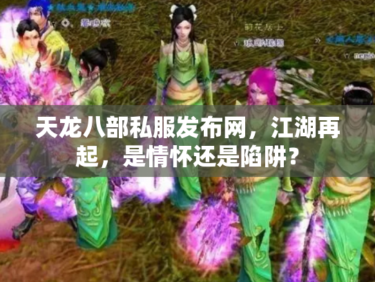 天龙八部私服发布网，江湖再起，是情怀还是陷阱？