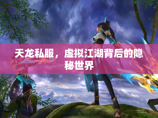 天龙私服，虚拟江湖背后的隐秘世界