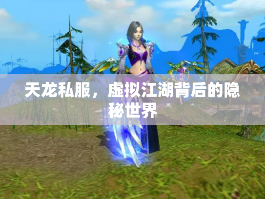 天龙私服，虚拟江湖背后的隐秘世界