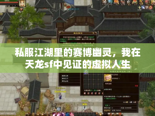 私服江湖里的赛博幽灵，我在天龙sf中见证的虚拟人生