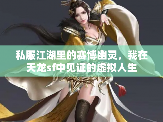 私服江湖里的赛博幽灵，我在天龙sf中见证的虚拟人生
