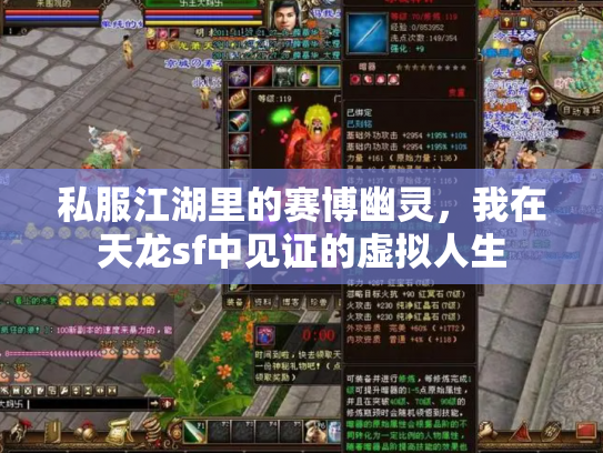 私服江湖里的赛博幽灵，我在天龙sf中见证的虚拟人生