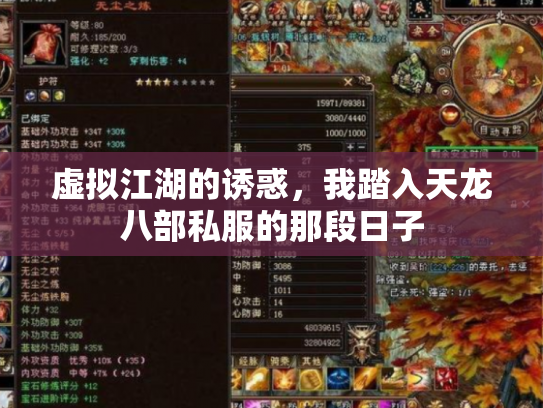 虚拟江湖的诱惑，我踏入天龙八部私服的那段日子
