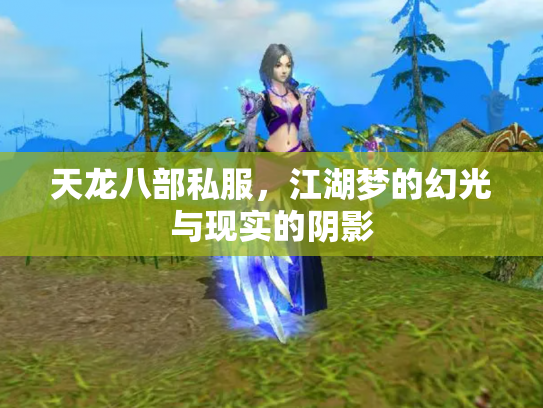 天龙八部私服，江湖梦的幻光与现实的阴影