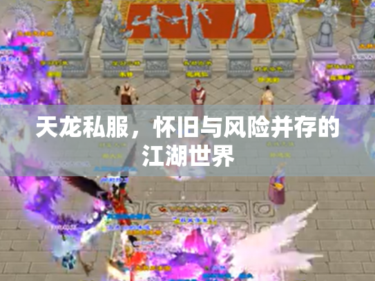 天龙私服，怀旧与风险并存的江湖世界