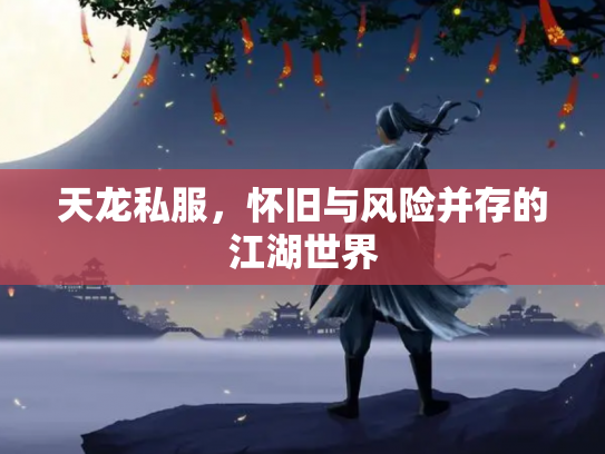 天龙私服，怀旧与风险并存的江湖世界