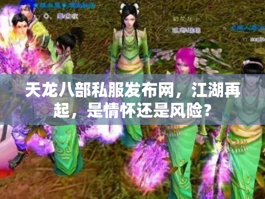 天龙八部私服发布网，江湖再起，是情怀还是风险？